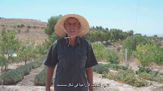 La Fertilisation Organique en Agriculture Biologique