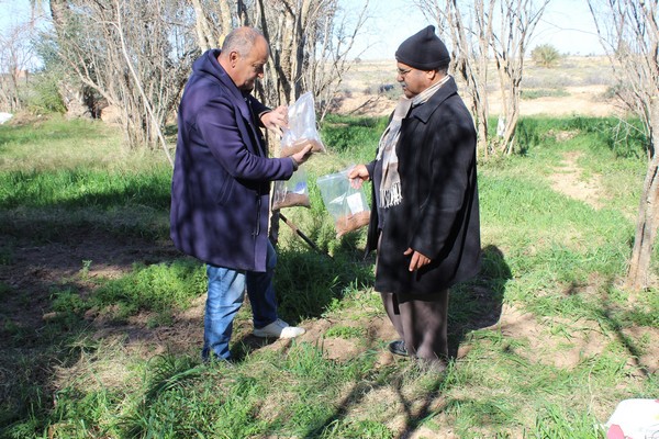 Journée champ sur « la fertilisation des grenadiers biologiques »