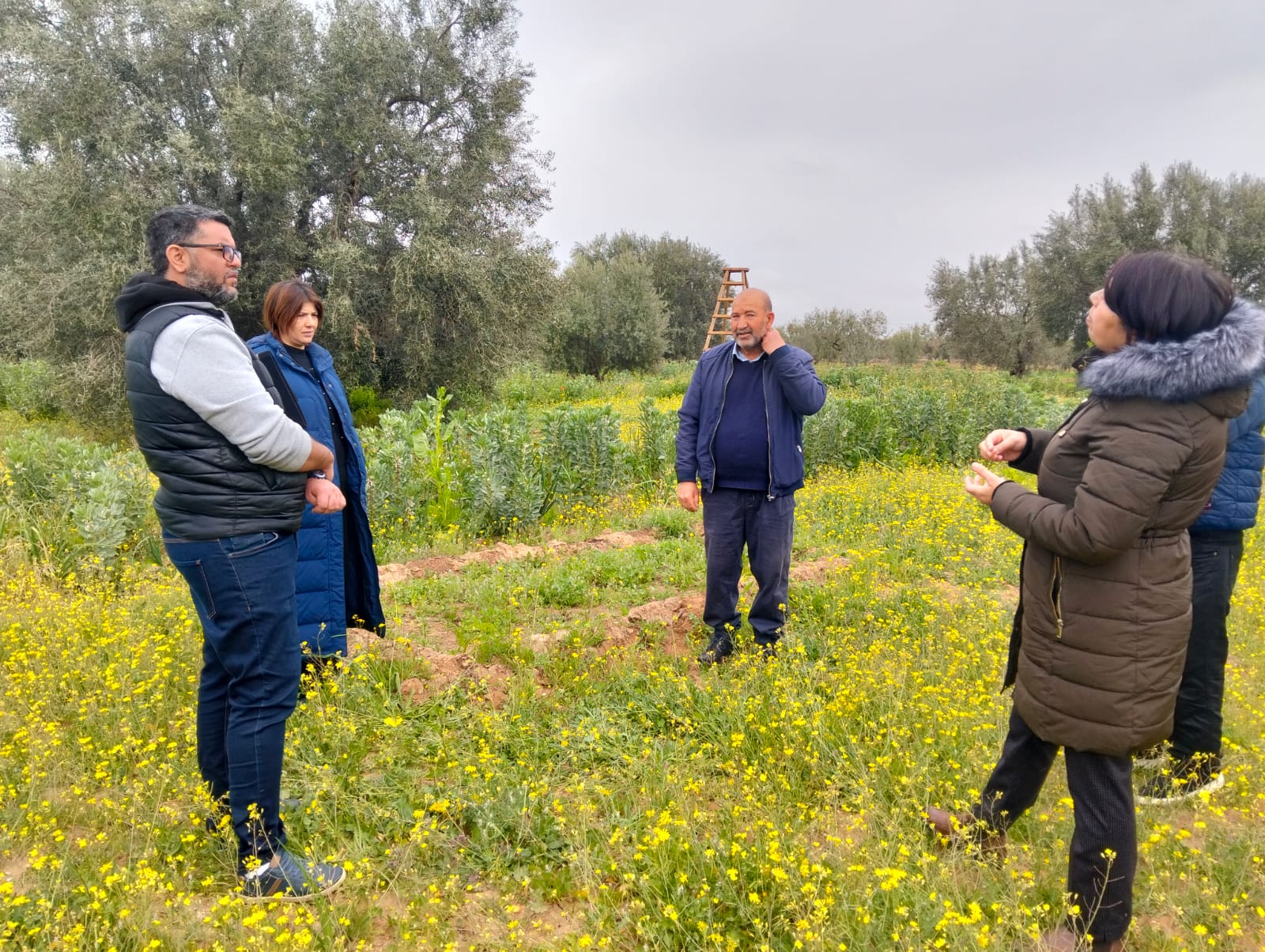 Visite de terrain pour renforcer la culture biologique des plantes aromatiques et médicinales
