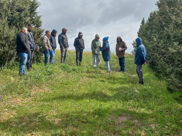 Visites de prospection en vue de la création d’unités pilotes de production de compost dans le gouvernorat de Zaghouan